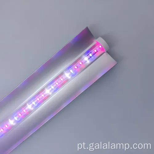 Planta enche a luz para o crescimento interno